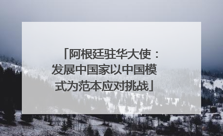阿根廷驻华大使：发展中国家以中国模式为范本应对挑战